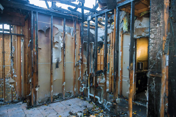 Professional Fire Damage Removal technician working in Wimauma, FL