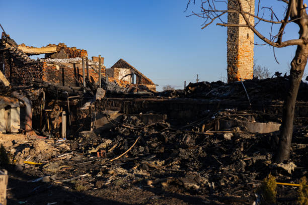 Reliable Fire Damage Removal contractor in Wimauma, FL by Fire Damage Doption