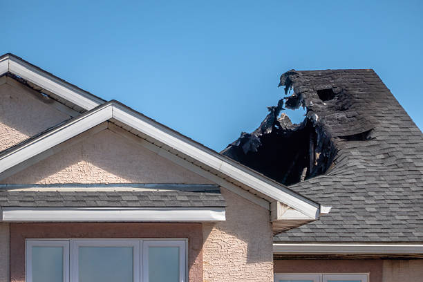Top rated local Fire Damage Removal specialists in Wimauma, FL
